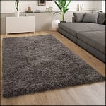 Tapis Salon Chambre Adulte Poil Long Shaggy Pelucheux Moderne Uni, Dimension:200 cm carré, Couleur:Anthracite