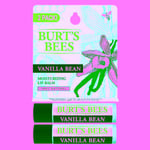 Vanilla Bean Lip Balm Blister Box 0.15 Oz By Burts Bees