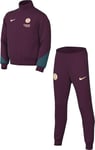 Nike Psg Track Suit Psg Y Nk Df Strk Trk Suit K, Bordeaux/Geode Teal/Guava Ice, FN9979-613, S