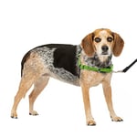 PetSafe Harnais pour chien Easy Walk