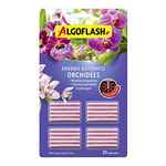 ALGOFLASH Engrais bâtonnets Orchidées, Action jusqu'à 3 mois, 20 bâtonnets, ABATORCN