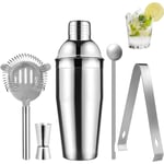 Cocktail shaker Set - Rostfritt stål Silver 5 dela