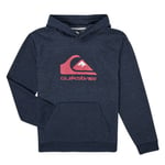 Sweat-shirt enfant Quiksilver  BIG LOGO YOUTH