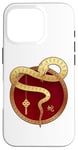 iPhone 16 Pro Zen Taiji Lucky Money Red Pocket Snake Year Pj ART ON BACK Case