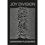 - Joy Division (Unknown Pleasures) Plakat