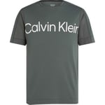 Calvin Klein Sport Pique Gym T-shirt Grön Small Herr