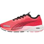 Puma Velocity Nitro 2 Mens Running Shoes Red Cushioned Comfort Sports Trainers