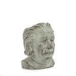 Abbott Collection Jardinière, Ciment, tête d'Einstein, Petit (20,3 cm de Hauteur)