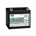 Batterie Gel Sonnenschein gf y 12 volts GF12025YG 12V 28AH amps (en)