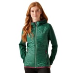 Regatta Womens Andreson VIII Padded Hybrid Jacket Coat, Water Repellent & Lightweight with Down-Touch Insulation - Perfect for Walking, hiking & Camping