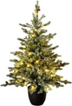 Christmas Tree World | 4ft Artificial Pre-lit Cairngorm Pine | Natural and Look