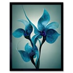 Elegant Teal Blue Orchid Flowers Painting Art Print Framed Poster Wall Decor 12x16 inch