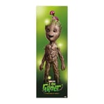 Grupo Erik Marvel Groot Poster - 20,8 x 62,2 pouces / 53 x 158 cm - Expédié enroulé - Affiches et impressions - Affiches et impressions - Affiches de porte