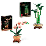 LEGO Botanicals Mini orchidée + Plante Artificielle en Bambou Porte-Bonheur pour présentation intérieure, Cadeau de décoration pour Femme et Homme, Elle ou Lui 10343 + 10344