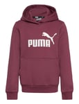 PUMA Ess Logo Hoodie Fl G Burgundy