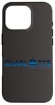 iPhone 16 Pro Charlotte Mecklenburg County NC Queen City CLT The QC Gifts Case