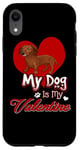 Coque pour iPhone XR My Dog Is My Valentine Dachshund Dog Funny Valentines Day