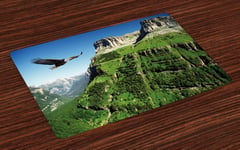 Eagle Place Mats Set of 4 Bird Mountain Fly