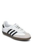 Adidas Originals Samba Og J Vit