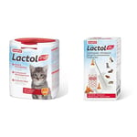 Beaphar - LACTOL - Lait maternisé pour Chaton en Poudre - Enrichi en DHA - 500 g & LACTOL – Pack biberon et tétines + Brosse à Nettoyer pour Nourrir Les Nouveau-nés/Animaux en Croissance