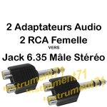 2 Adaptateurs 2 RCA Femelle vers Jack 6,35 Stéréo Mâle Capot Plastique