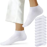 NUOZA Chaussette Basse Homme Socquettes Femme Coton Sport Sockettes Hommes Respirant Chaussettes Courtes de 10 Paires,Blanc,35-38