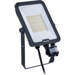 Ledinaire Floodlight Small w/sens BVP167 6000lm/830-840-865 50W Sym