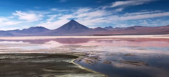 Colorada lagoon with flamingos on the plateau Altiplano Eduardo Avaroa Andean Fauna National Reserve Bolivia