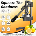 Hand Press Manual Fruit Juicer Juice Squeezer Citrus Orange Lemon Tool Home Gray