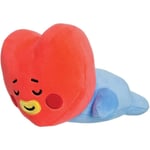 BT21 TATA Baby Mini Pillow Cushion