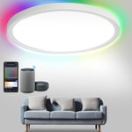 Swanew - Plafonnier 24W rgb Plafonniers Backlight led Plafonnier IP44 dimmable bluetooth wifi