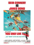 Pyramid International James Bond You Only Live Twice Little Nellie, Small Canvas