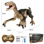 Boîte d'origineA1-Dinosaure Raptor Télécommandé pour Enfant, 2.4G RC, Jouet Électrique, Marche, D37Dragon, Ca