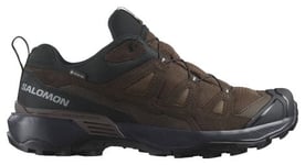 Salomon X Ultra 360 Gore-Tex - homme