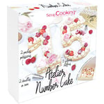 ScrapCooking - Coffret Atelier Number Cake - Kit Accessoires Pâtisserie Chiffres 0 à 9 de 21cm avec Douilles, Poches, Supports Dorés - Pour Dessert Gâteau d’Anniversaire & Fêtes - Avec Recettes - 3810