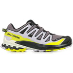 Chaussures Salomon  Xa Pro 3d V9 Gtx W