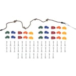 Pierres d'escalade avec corde 25 pcs Multicolore Vidaxl