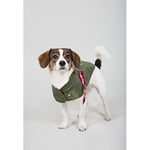 Alpha Industries Dog MA-1 Nylon Flight Jacket Veste d'aviateur pour Chiens Sage-Green