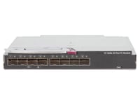 Hewlett Packard Enterprise HPE Virtual Connect 16Gb 24-Port Fibre Channel Module for c-Class BladeSystem - switch - 24 porter - plugg-in-modul