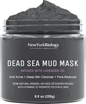 New York Biology Dead Sea Mud Mask for Face and Body Infused with Lavender - Spa Quality Pore Reducer for Acne, Blackheads and Oily Skin - Tightens Skin for A Healthier Complexion - 250 g