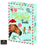 Lincoln Naughty or Nice Advent Calendar for Horses & Ponies  2024 Xmas Countdown