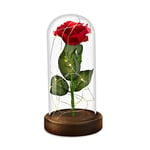 Rose Eternelle sous Cloche,La Belle et La Bête Rose Rose Éternelle sous Cloche Rose Enchantée Lumière LED avec Dôme en Verre Soie Rose pour Fête Mères Saint Valentin Anniversaire de Mariage