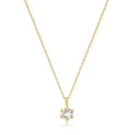 ANIA HAIE Collier NAU006-01YG White Sapphire Ladies Necklace Gold 14K, réglable mid-38146 Marque, Taille Unique, Métal Non précieux, Pas de gemme