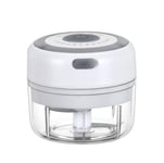 Mini Electric Garlic Chopper,Portable Ginger Grinder Powerful Chili Crusher Rechargeable Food Processor Multi-Function Vegetable Cutter Blender Mixer to Chop Meat Nut Fruit Walnut Peanut (White-100ML)