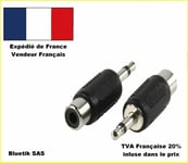 Lot de 2 pièces: Adaptateur fiche Jack 3,5mm mono mâle et fiche RCA femelle (A1)