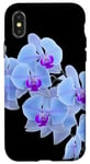 Coque pour iPhone X/XS Magnifique orchidée bleue Phalaenopsis en forme de mania