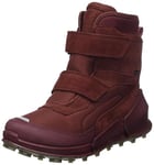 ECCO Biom K2, Andorra, 6.5 UK