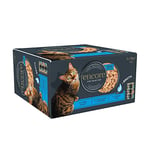 Encore 100% Natural Wet Cat Food, Multipack Fish Selection in Broth 70g Tin for Adult Cats, (8 x 70g Tins)