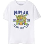 T-shirt Teenage Mutant Ninja Turtles  1984