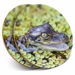 2 x Coasters - Baby Alligator Swamp Wild Fun Home Gift #2324